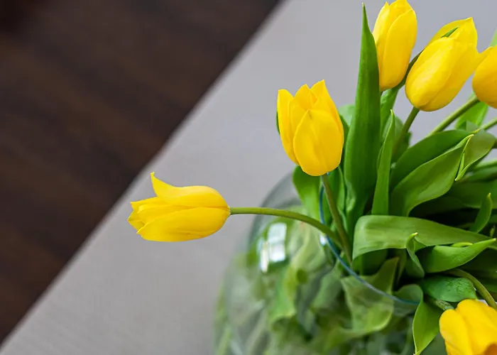 דירה Nova Letnica 2 - Billberry *