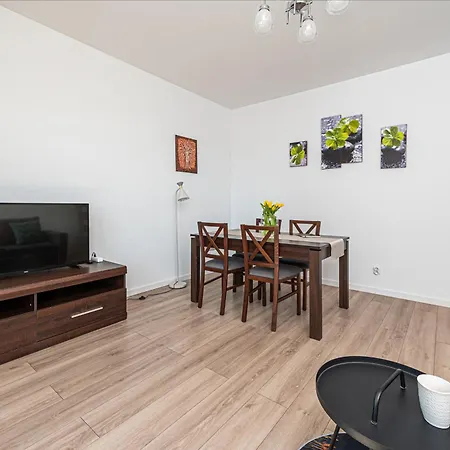 Nova Letnica 2 - Billberry